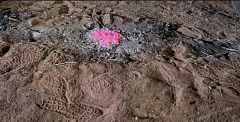 ضبط مواطن مخالف داخل محمية الأمير محمد بن سلمان الملكية