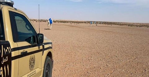 ضبط مواطن لارتكابه مخالفة رعي في محمية الملك عبدالعزيز الملكية