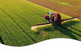 الهيئة العامة للأمن الغذائي ترسي الدفعة الثانية من القمح المستورد لعام 2026