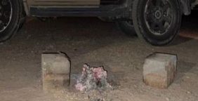 لماذا تفرض السعودية غرامات على إشعال النيران لحماية البيئة؟