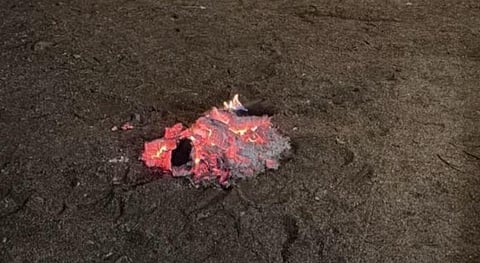 نحو مستقبل أخضر: جهود حماية الغطاء النباتي في السعودية