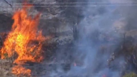 تفاصيل حصرية: السيطرة على حريق الشارقة الصناعي بمنطقة الصجعة