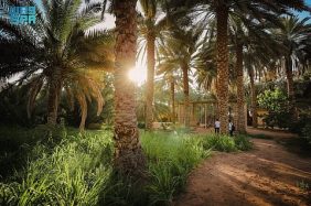 فعاليات العيد في العُلا: الأجواء الاحتفالية في انتظارك