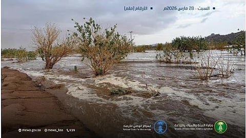 فهم ظاهرة أمطار السعودية الغزيرة وتغيراتها المناخية