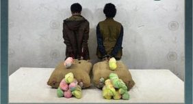 القبض على مخالفين من الجنسية اليمنية والإثيوبية لتهريبهما القات بجازان وعسير