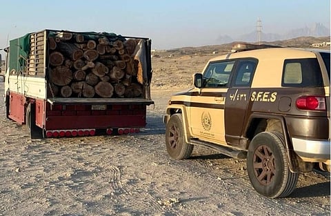 حملة مكثفة ضد مخالفات الحطب المحلي: حماية محمية الأمير محمد بن سلمان