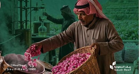 تطوير قطاع الورد في السعودية: الابتكار والاستدامة في رؤية 2030