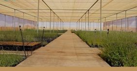 الاستدامة البيئية في العُلا: منظومة متكاملة لحفظ الطبيعة