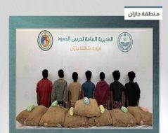 عملية نوعية ضد تهريب القات في جازان: التفاصيل الكاملة