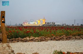 منتزه الزهور البرية بروضة هباس.. لوحة ربيعية لجمال الطبيعة بالحدود الشمالية