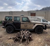 «الأمن البيئي» تضبط مواطنا بحوزته حطبًا محليًا في عسير