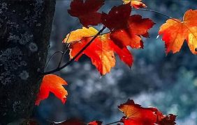 عجائب الكون في سماء أبريل: دليل شامل للمشاهدة