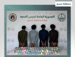 حرس الحدود بعسير يقبض على 4 يمنيين لتهريبهم 40 كيلوجرامًا من نبات القات المخدر