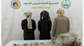 مسؤولية مجتمعية: دورك في إنجاح تنظيم الصيد البحري في السعودية