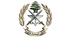 Unexploded Ordnance and Safe Return to Southern Villages: What You Need to Know