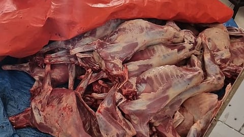 أهمية الرقابة المجتمعية في دعم سلامة الغذاء في جدة ومكافحة التجاوزات