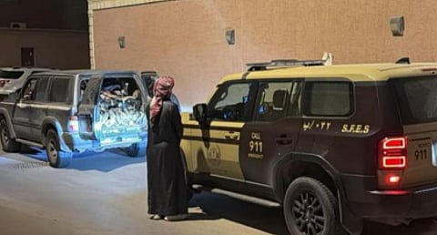 دور القوات الخاصة للأمن البيئي في تعزيز الاستدامة البيئية