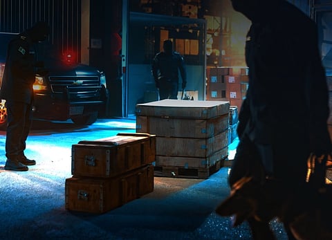 «المنافذ الجمركية» تسجل 900 حالة ضبط خلال أسبوع