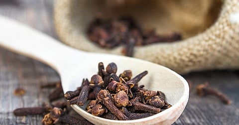 نصائح المتخصصين حول علاج النزيف والوقاية من التلوث النسيجي