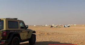 إجراءات قانونية صارمة ضد مرتكبي مخالفة رعي جائر