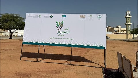 دليل شامل حول مبادرة أرض القصيم خضراء وأهدافها البيئية