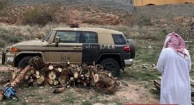 حماية الغطاء النباتي: ضبط كميات من تخزين حطب محلي بعسير