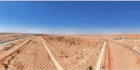 استثمار المتنزهات الوطنية: الموازنة بين الترفيه وحماية النظم البيئية