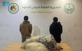 استراتيجية حرس الحدود في الحفاظ على استدامة الموارد المائية