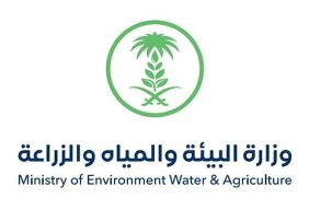 ضبط مخالفين لنظام حظر صيد أسماك الناجل بمحافظة بدر