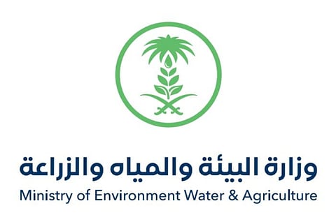 ضبط مخالفين لنظام حظر صيد أسماك الناجل بمحافظة بدر