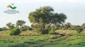 أهمية تطبيق نظام الرعي في محمية الملك عبد العزيز الملكية للاستدامة