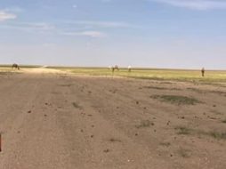 أهمية التعاون المجتمعي مع محمية الملك سلمان بن عبدالعزيز الملكية