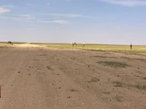 أهمية الوعي المجتمعي في دعم أهداف محمية الملك سلمان بن عبدالعزيز الملكية