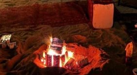 دليلك الشامل حول قوانين حماية الغطاء النباتي في المملكة العربية السعودية