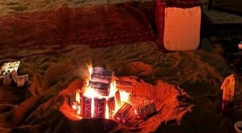 دليلك الشامل حول قوانين حماية الغطاء النباتي في المملكة العربية السعودية