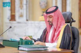 مستقبل الاقتصاد السعودي في ظل إستراتيجية صندوق الاستثمارات العامة