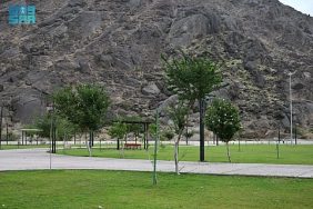 كل ما تريد معرفته عن الخدمات في منتزه الصفا بنجران