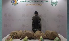 يقظة أمنية تمنع تهريب القات في السعودية عبر حدود عسير