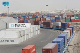 كل ما تريد معرفته عن تمديد فترة التخزين المجاني بالميناء الجاف