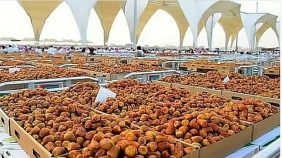 المملكة تحقق نموًّا قياسيًا في قيمة صادرات التمور بنحو ملياري ريال