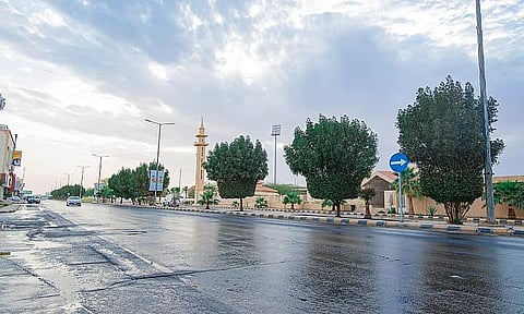 استعد للأجواء: حالة الطقس في السعودية تشهد تحسناً مع هطول الأمطار