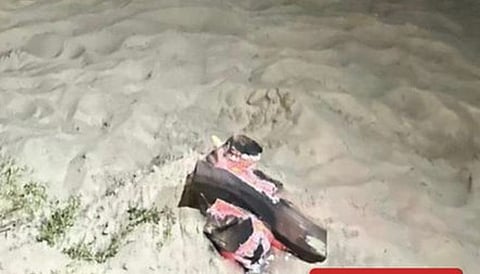 القوات الخاصة للأمن البيئي: الوعي الفردي خط الدفاع الأول