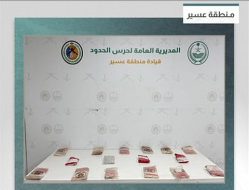 حرس الحدود بعسير يحبط تهريب 18 كيلوجرامًا من مادة الحشيش المخدر