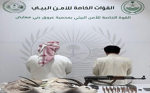 القبض على مواطنين لارتكابهما مخالفتي صيد كائنين فطريين مهددين بالانقراض