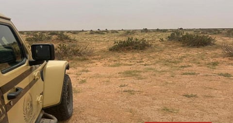 ضبط مواطن لارتكابه مخالفة رعي في محمية الملك عبدالعزيز الملكية