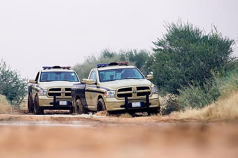 «الأمن البيئي» يضبط مواطنًا لرعيه في محمية الملك عبدالعزيز الملكية