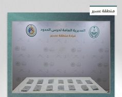 حرس الحدود بمنطقة عسير يحبط تهريب 16 كيلوجرامًا من مادة الحشيش المخدر