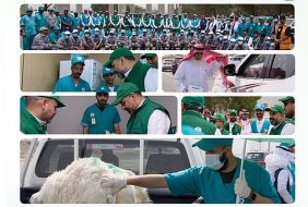 «وقاء» يرفع جاهزية الفرق الميدانية استعدادًا لموسم حج 1447هـ بمكة المكرمة