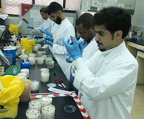 مختبرات «الغذاء والدواء»: استعدادات مكثفة وتشغيل مستمر لدعم سلامة ضيوف الرحمن خلال موسم الحج