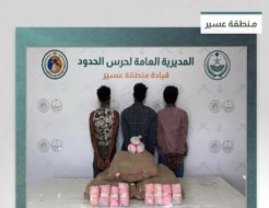 القبض على 3 مخالفين من الجنسية الإثيوبية لتهريبهم 60 كيلوجرامًا من القات في عسير